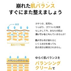 【新品】韓国コスメ プロポリスクリーム オイリー肌 肌トラブル 敏感肌 ニキビの画像