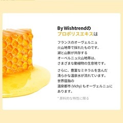 【新品】韓国コスメ プロポリスクリーム オイリー肌 肌トラブル 敏感肌 ニキビの画像
