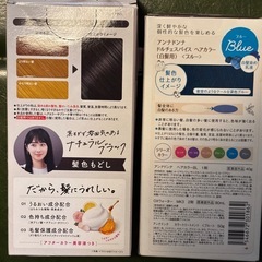 ヘアカラー　2種類　黒　青の画像