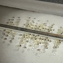 メダカ　金閣の卵10個＋α  500円の画像