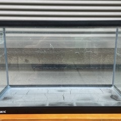 ライト付き水槽の画像