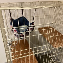 ペットケージ　猫　ゲージ　大きめ　の画像