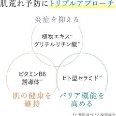 シェルシュール 高濃度セラミド美容液の画像