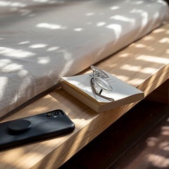 部屋を広くする家具 LIVING BED （旭川家具）の画像