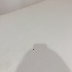 ニトリ　脚付きマットレスベッド　セミダブルの画像