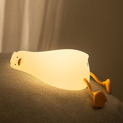 アヒルライトの画像