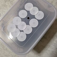 カブトムシ幼虫の画像