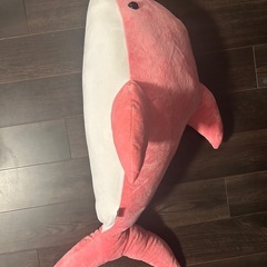 巨大なイルカのぬいぐるみ　の画像
