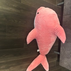 巨大なイルカのぬいぐるみ　の画像