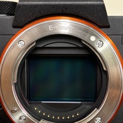 sony α7Rⅱの画像