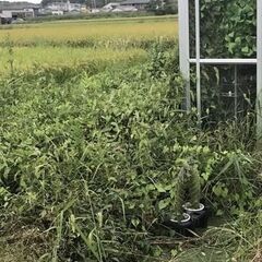 【草刈りの依頼】の画像
