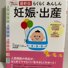 妊娠中の方へ。3冊まとめ売りの画像