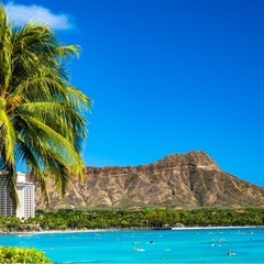 🌺💛ハワイ好きな友達ほしいです💛🌺