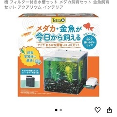 水槽　
の画像