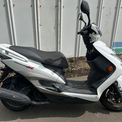 【動画あり】シグナスX SR3型　インジェクションスクーター ヤマハの画像