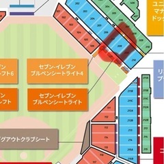 9/15（祝）エスコン日ハム対西武　チケット２枚連番の画像