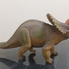 トリケラトプス　フィギュアの画像
