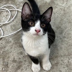 ずっとのお家を探してます