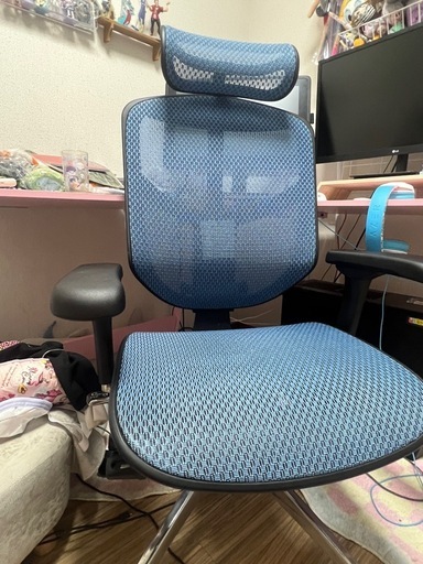 エルゴヒューマン エンジョイ2 ハイタイプ オフィスチェア 美品