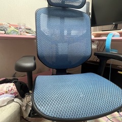 エルゴヒューマン エンジョイ2 ハイタイプ オフィスチェア 美品の画像