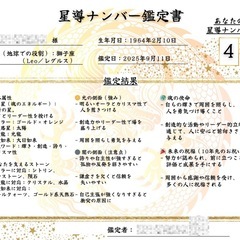守星龍ブレス＆星導ナンバー鑑定書セットの画像