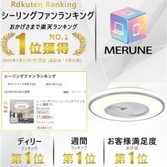 新品未使用　シーリングファンライトの画像
