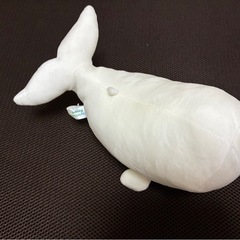 ぬいぐるみの画像