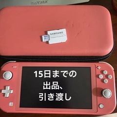【美品】任天堂 Switch ライト 本体 SDカード 充電器 ケース【ピンク】 Nintendo Switch lite ピンク＋ケース＋SDカード＋純正充電器