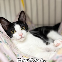 日に日に甘えん坊になっています