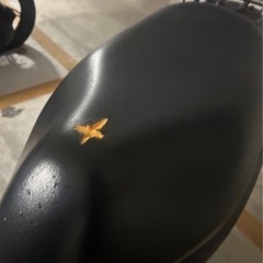 V50バイクの画像