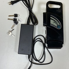 PELTECH (ペルテック) 
電動アシスト三輪車 TDR-163Lの画像