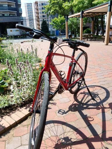 トレックFX1 Mサイズ　2025年購入