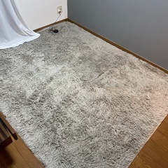 ※取引中【長方形のシャギーラグ】グレージュカラーの画像