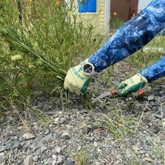 お手伝いさせていただきます！