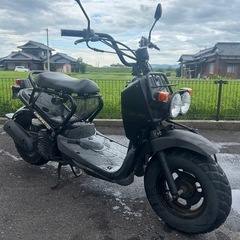 ホンダ ズーマー50 車体の画像