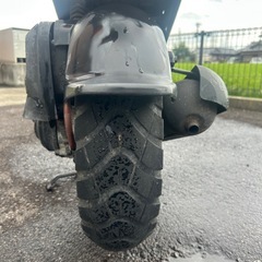 ホンダ ズーマー50 車体の画像