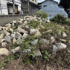 庭石　石材　景石の画像