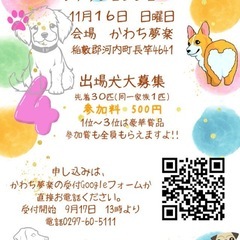 11月16日　かわち夢楽　ワンフェス