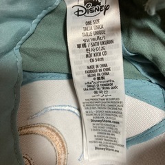 パリディズニーで買った帽子の画像