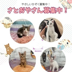 9月14日(日)観に来られる方