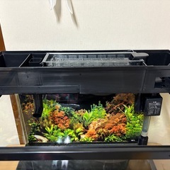 45センチ水槽【一式】の画像
