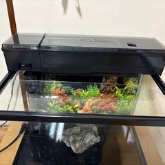 45センチ水槽【一式】の画像