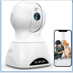 ジャンク品　防犯カメラ2台の画像