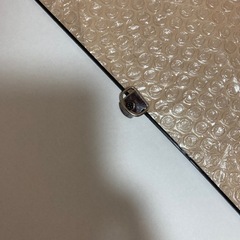 アマゾンのミラーの画像