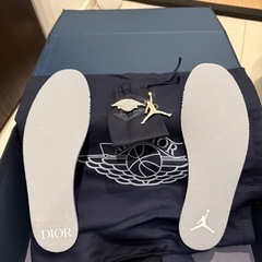 ディオール×ナイキ　スニーカーの画像