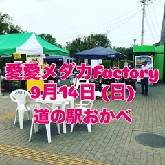 道の駅 メダカ販売