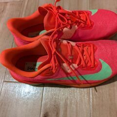 靴24,5cmの画像