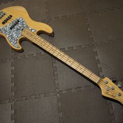 Bacchus Global Sreies 「WJB700B」美品の画像