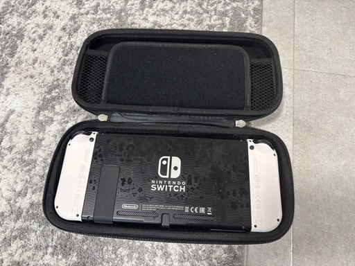 【お話中】Nintendo Switch どうぶつの森セット