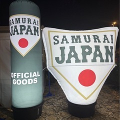 U18野球ワールドカップ　決勝チケットの画像